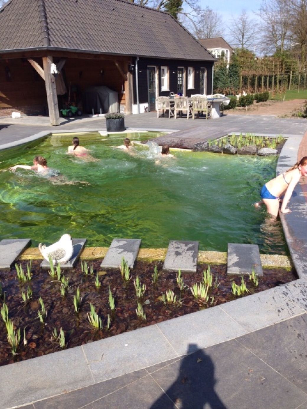 zwemvijver